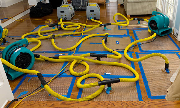 Professional Water Damage Repair technician working in Watertown, FL